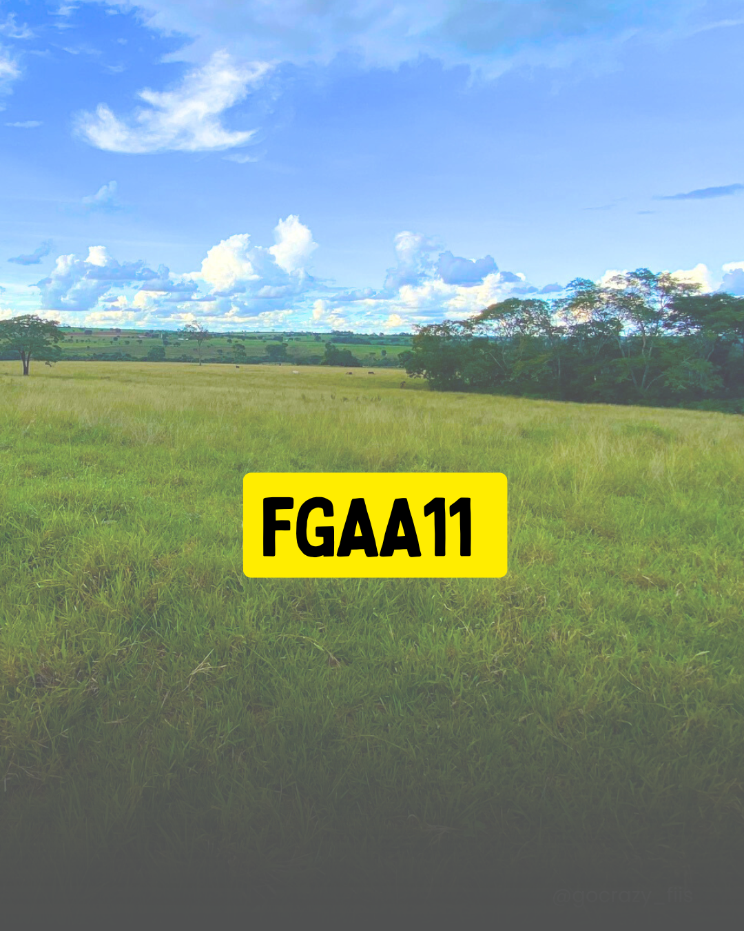 FGAA11: recompra de cotas em breve